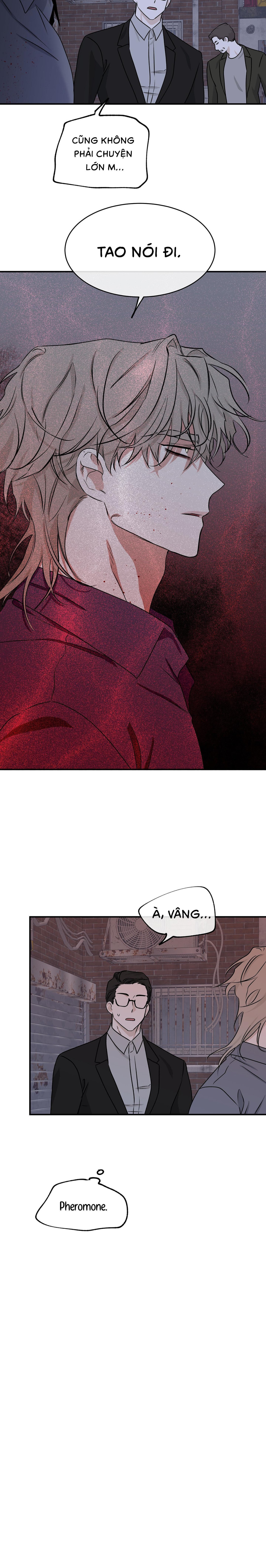 Đêm Bên Bờ Biển - Chap 51